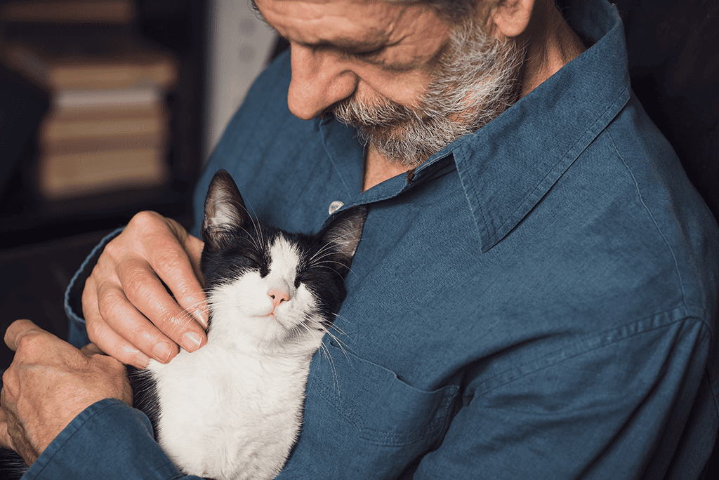 adopting a pet to combat loneliness